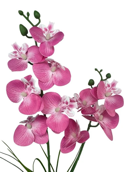 Yapay Çiçek Pembe Islak Orkide Gold Metal Saksıda Saksıda Orkide 50cm - Resim 7