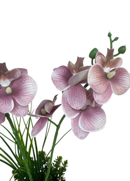 Yapay Çiçek Pudra Pembe Islak Orkide Gold Metal Saksıda Saksıda Orkide 50cm - Resim 4