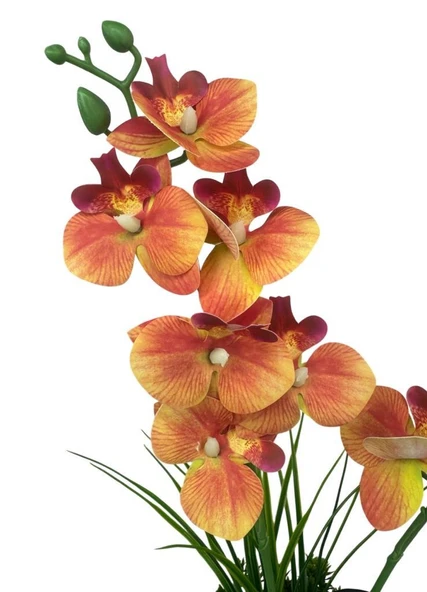 Yapay Çiçek Somon Islak Orkide Gold Metal Saksıda Saksıda Orkide 50cm - 4