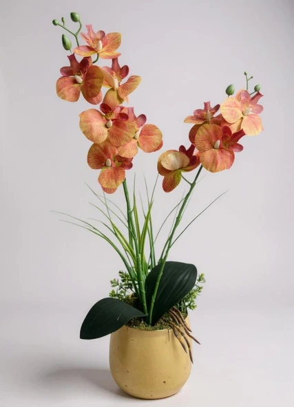 Yapay Çiçek Somon Islak Orkide Gold Metal Saksıda Saksıda Orkide 50cm - 2