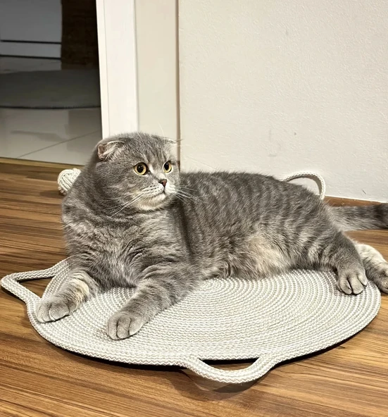 Organik İpli Kedi Tırmalama ve Beslenme Paspası 45x45 cm ürün görseli