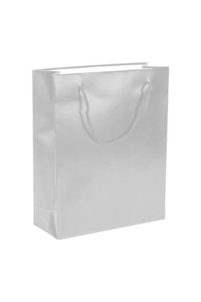 Gümüş Karton Çanta 17x24 cm 25'li