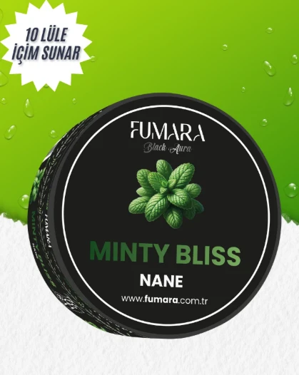 Fumara Minty Bliss Nargile Marmelatı 200gr. Nane Aromalı Nargile Reçeli ürün görseli 1