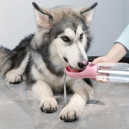 BUFFER® Taşınabilir Evcil Hayvan Suluğu Seyahat Kabı Kilitlenebilen Su Sızdırmaz Kap 350 ml - 2