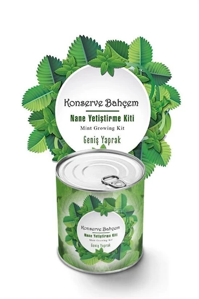 BUFFER® Konserve Bahçem Nane Yetiştirme Kiti - Resim 2