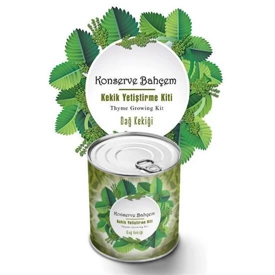 BUFFER® Konserve Bahçem Evde Konservede Kekik Dağ Kekiği Yetiştirme Kiti - Resim 4