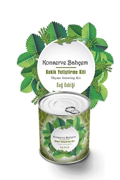 BUFFER® Konserve Bahçem Evde Konservede Kekik Dağ Kekiği Yetiştirme Kiti - Resim 5
