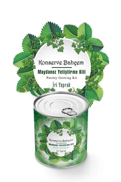 BUFFER® Konserve Bahçem Evde Konservede İri Maydanoz Yetiştirme Kiti - Resim 5