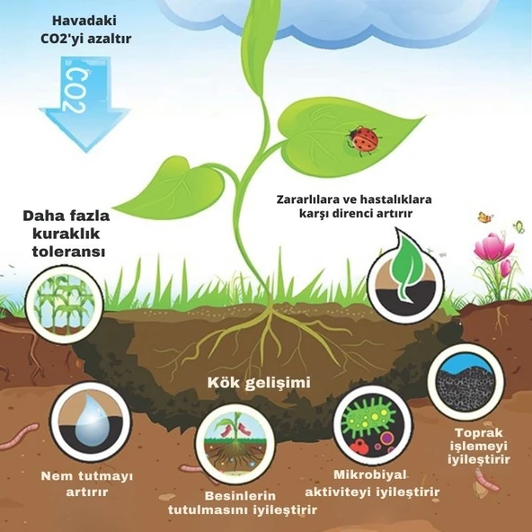 PreChar Meşe Odunu Bazlı Karbon Toprak Düzenleyici 5L Biochar 6mm ve Üstü - 3