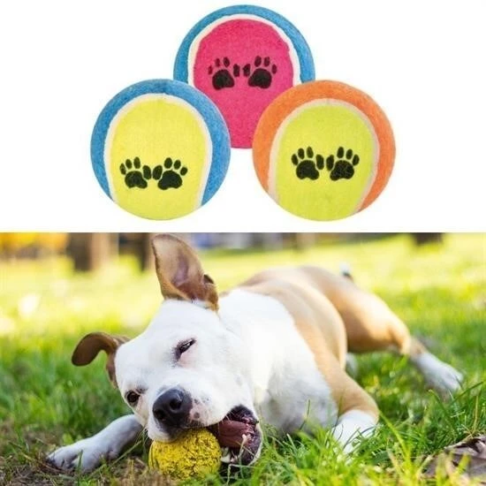 BUFFER®  3lü Renkli Desenli Tenis Topu Kedi Köpek Oyuncağı - Resim 2