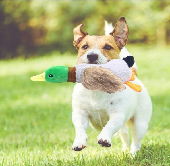 Sesli Ördek Şekilli Peluş Köpek Oyuncağı - 1