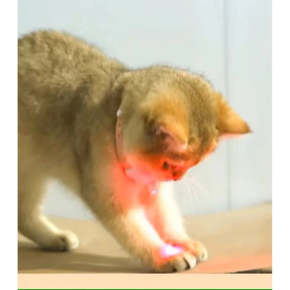 Otomatik Lazer Oyun Tasması - Resim 3