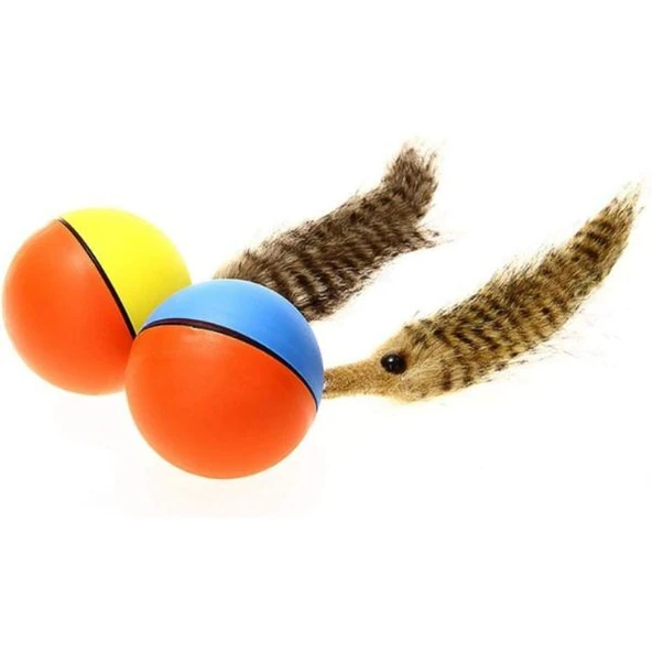 Hareketli Rakun Kedi Köpek Oyuncak - 8