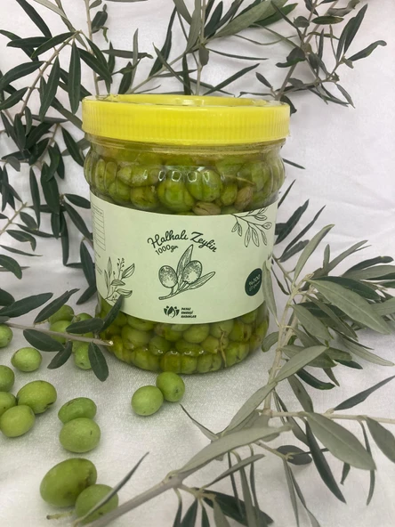 HATAY HALHALI YEŞİL ZEYTİN 1 KG - 5
