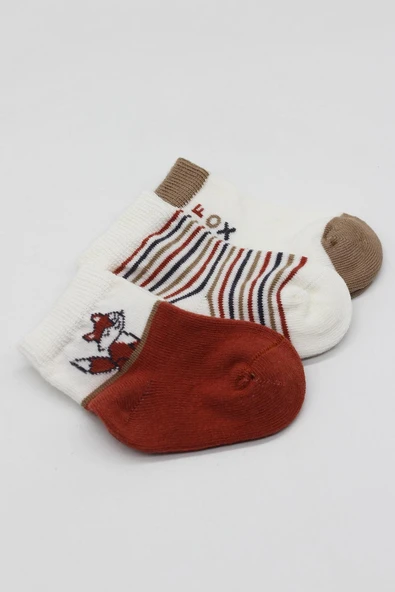 Bistyle 3'Lü Penye Soket Çorap BS10109 Kiremit - Resim 4
