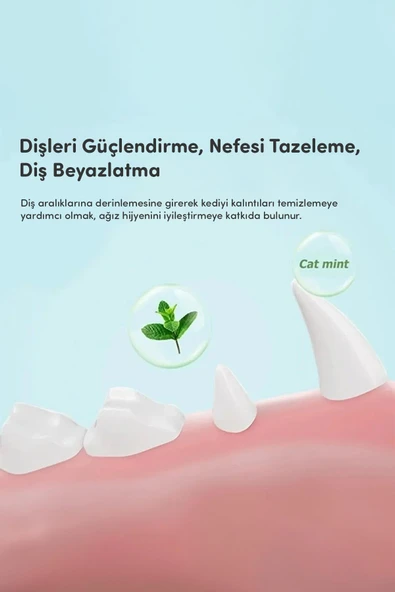 Catnipli Yenilebilir Kedi Nanesi Otu Oyun Topu Oyuncağı Top Oyuncak Kedi Yalama Topu Avokado - 3