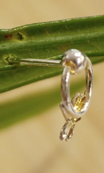 Gümüş Hızma 1. Kalite ve Şık Tasarım ürün görseli 1