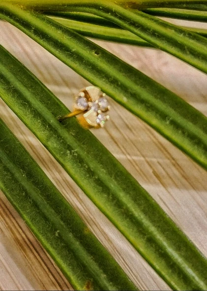 Gümüş Hızma 1. Kalite ve Şık Tasarım ürün görseli 1