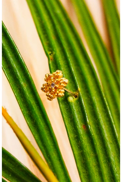 Gümüş Hızma 1. Kalite ve Şık Tasarım ürün görseli 1