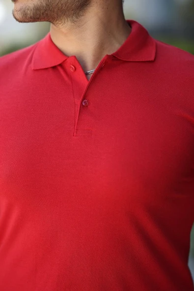 Erkek Kısa Kollu Yakalı Tişört - Resim 3