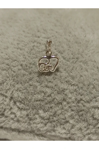 Gümüş Hızma 1. Kalite ve Şık Tasarım