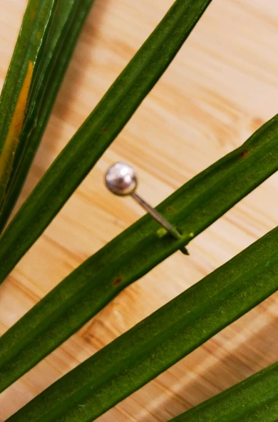 Gümüş Hızma 1. Kalite ve Şık Tasarım ürün görseli 1