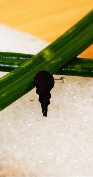 Gümüş Hızma 1. Kalite ve Şık Tasarım ürün görseli 1