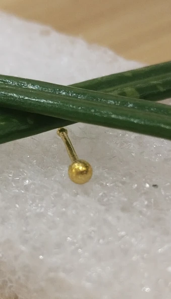 Gümüş Hızma 1. Kalite ve Şık Tasarım ürün görseli 1