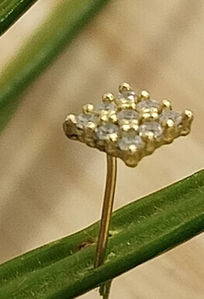 Gümüş Hızma 1. Kalite ve Şık Tasarım