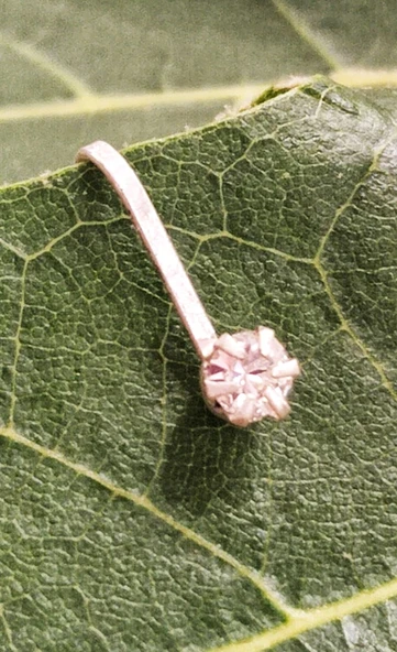 Gümüş Hızma 1. Kalite ve Şık Tasarım ürün görseli 1