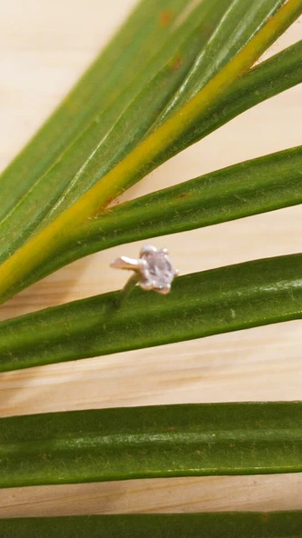 Gümüş Hızma 1. Kalite ve Şık Tasarım ürün görseli 1