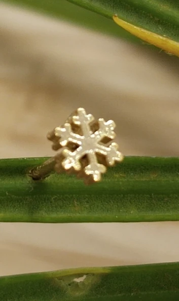 Gümüş Hızma 1. Kalite ve Şık Tasarım