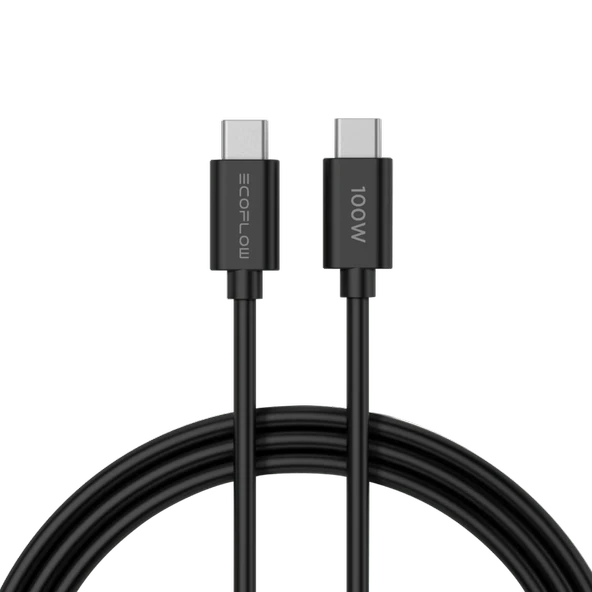 EcoFlow - RAPID 65W GaN Şarj Cihazı - 2