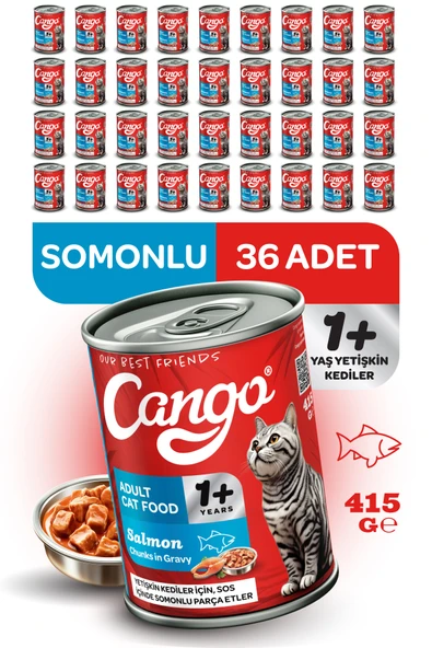 Cango Yetişkin Yaş Kedi Maması Somonlu 415Gr 36Lı - 1