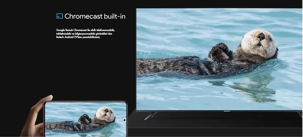 BOTECH 24'' ANDROİD LED TV  (12V GİRİŞLİ) - Resim 2