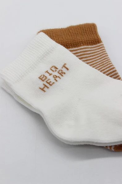 Bistyle Big Heart Penye Soket Çorap 2'Li BS10117 Hardal - Resim 4