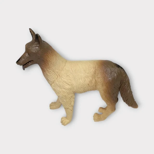 Çiftlik Hayvanları - Kurt Köpek - Resim 2