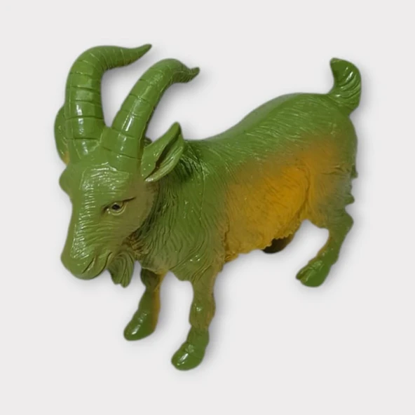 Çiftlik Hayvanları - Dağ Keçisi - Resim 4