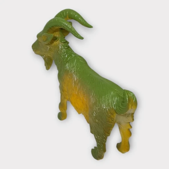 Çiftlik Hayvanları - Dağ Keçisi - Resim 6