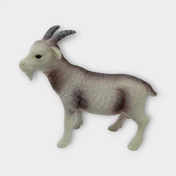 Çiftlik Hayvanları - Keçi ürün görseli