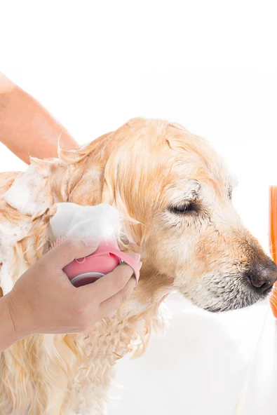 Şampuan Hazneli Kedi Ve Köpek Evcil Hayvan Yıkama Fırçası Silikon Pembe - 2