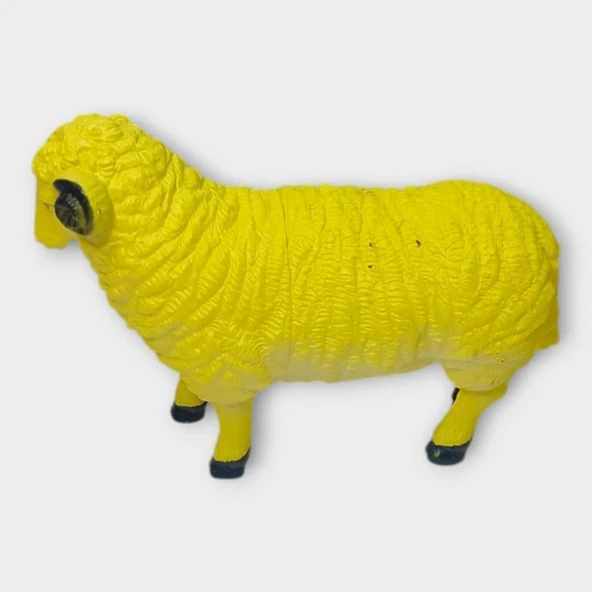 Çiftlik Hayvanları - Koyun - Resim 5