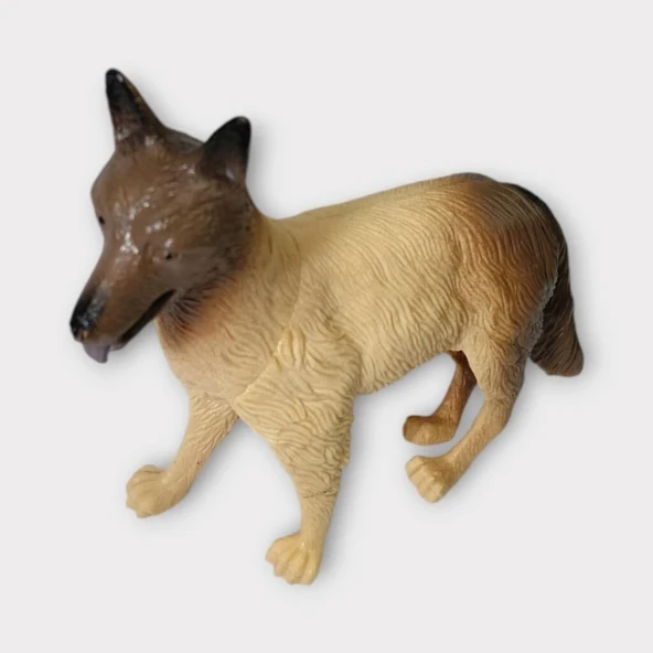 Çiftlik Hayvanları - Kurt Köpek - Resim 4