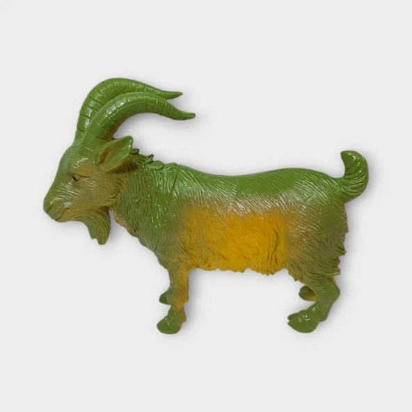 Çiftlik Hayvanları - Dağ Keçisi - Resim 5