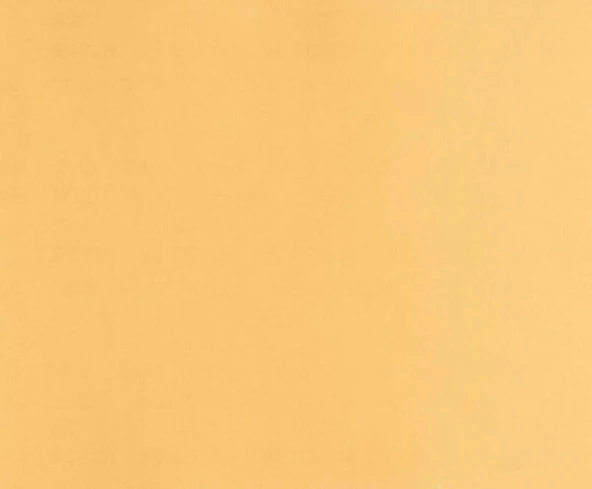 BOSCH Zımpara Kagıdı 230X280 mm Kum 60 ürün görseli