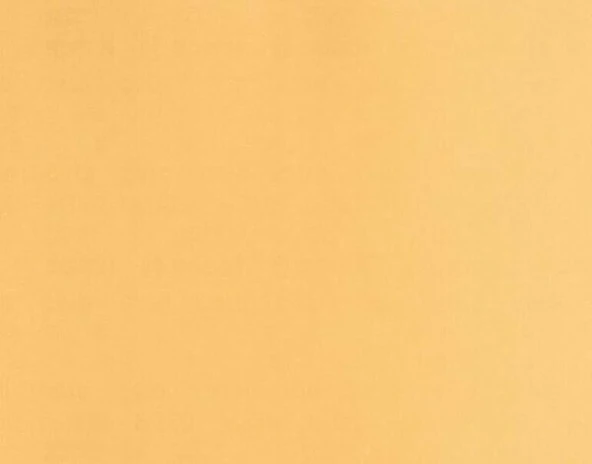 BOSCH Zımpara Kagıdı 230X280 mm Kum 100 ürün görseli