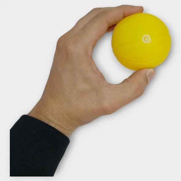 Köpek Oyuncağı - Plastik Düdüklü Top - Sarı - Resim 5