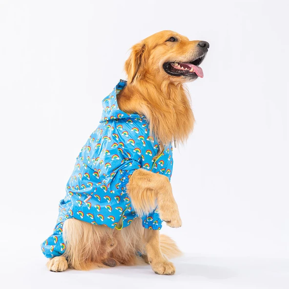 Pawstar İrides Fileli Su Geçirmez Orta-Büyük Irk Köpek Yağmurluk Tulum - Resim 2