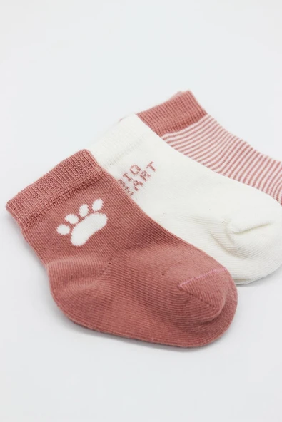 Bistyle 3'Lü Penye Soket Çorap BS10110 Pudra - 4