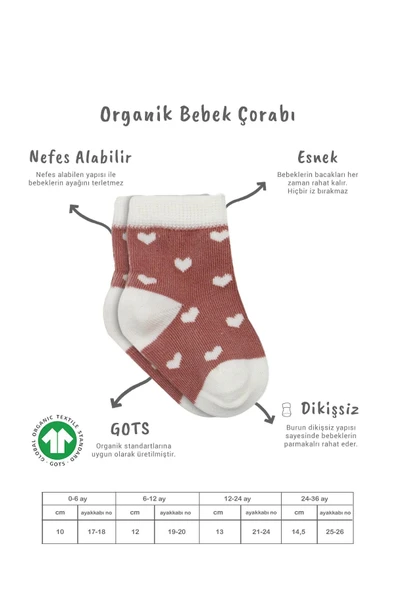 Bistyle 3'Lü Penye Cute Stars Soket Çorap BS10115 Pudra - Resim 2